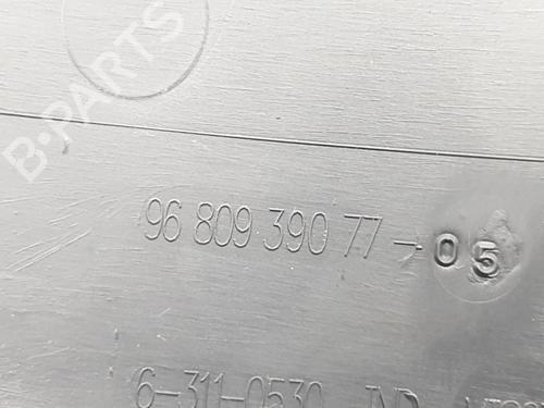 Display monitor PEUGEOT PARTNER Tepee 1.6 HDi 90 | BP30853554C48 