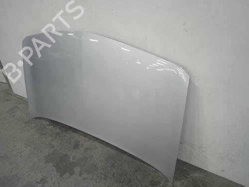 Hood RENAULT MEGANE II (BM0/1_, CM0/1_)  | BP11174988C1 