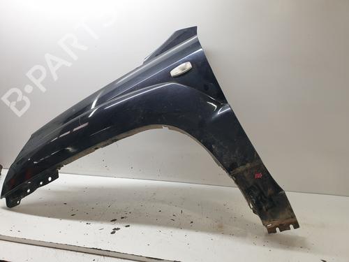Left front fenders KIA SPORTAGE II (JE_, KM_)  | BP22219564C41 