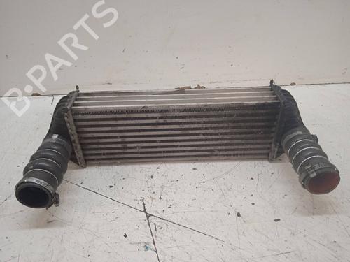 Used Intercooler FORD TOURNEO CONNECT [2002-2013]  10632364
