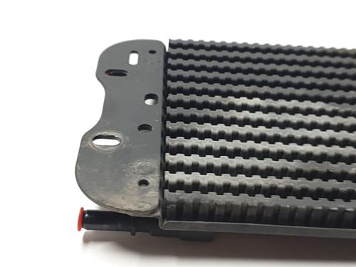 Oil radiator RENAULT MASTER III Bus (JV) 2.3 dCi 110 FWD (JV0R, JV0W) | BP29977691M33