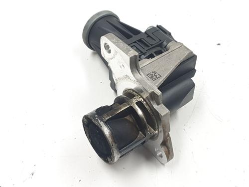 Egr Egr RENAULT KANGOO / GRAND KANGOO II (KW0/1_) 1.5 dCi 90 (KW05, KW08, KW0G, KW11) (90 hp) 37174768 37174768