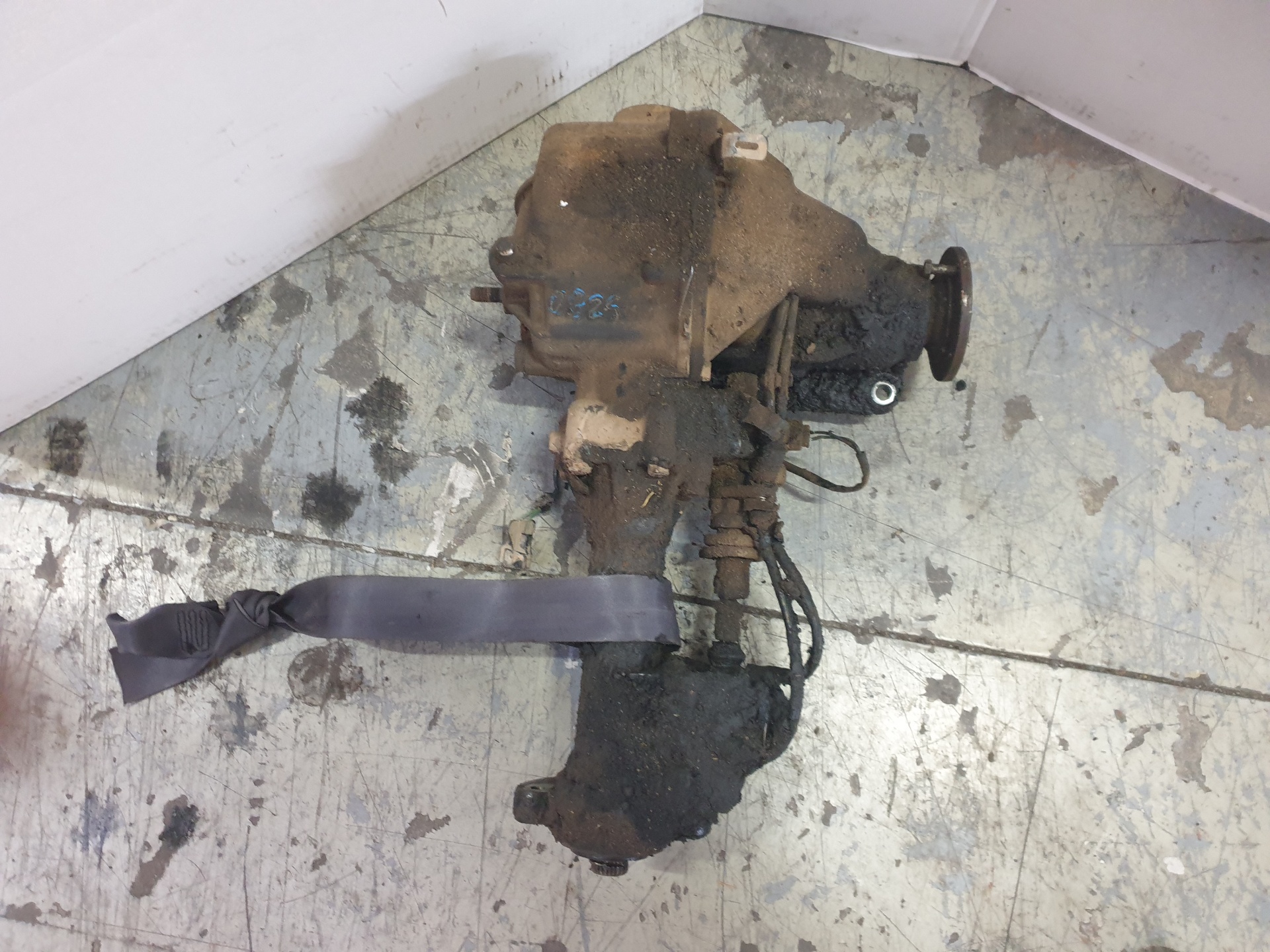 Front differential FORD RANGER (ER, EQ, R_) 24337661 | B-Parts