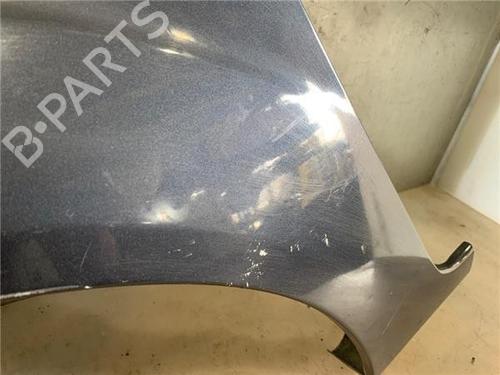 Left front fenders FORD FIESTA V (JH_, JD_) 1.4 TDCi | BP29614138C41 