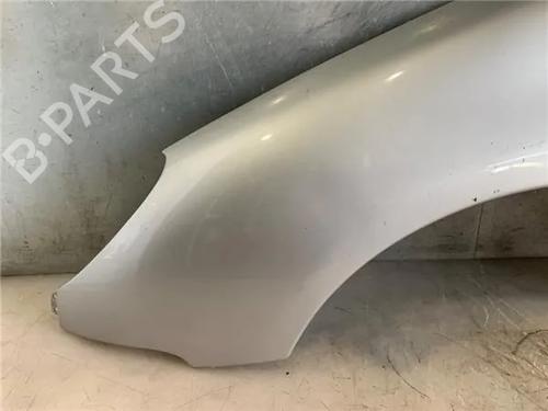 Left front fenders PEUGEOT 206 Hatchback (2A/C)  | BP26029978C41 
