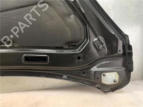 Hood PEUGEOT 1007 (KM_)  | BP16936923C1