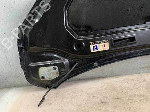 Hood PEUGEOT 1007 (KM_)  | BP16936923C1