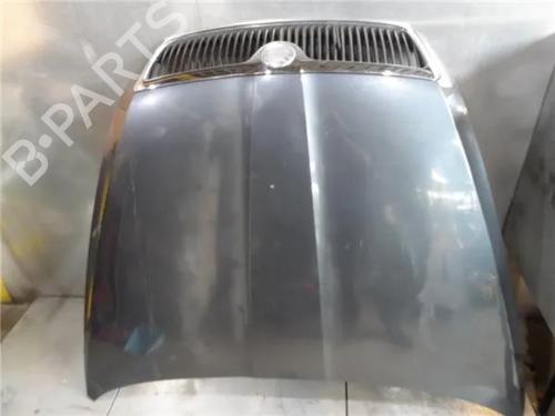 Hood SKODA OCTAVIA II (1Z3) 2.0 TDI 16V 1Z0823031B
