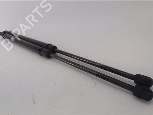 Tailgate lift support KIA CARNIVAL / GRAND CARNIVAL III (VQ) 2.9 CRDi | BP25146799C138 