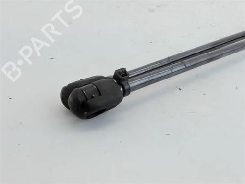 Hood lift support FIAT STILO (192_)  | BP14342372C139 