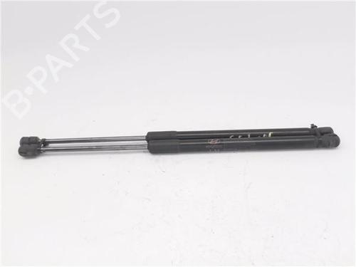Tailgate lift support HYUNDAI i10 II (BA, IA)  | BP29119058C138 