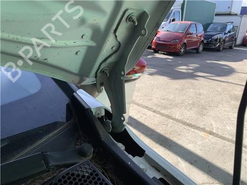 hingedoor-check-strap-citroen-c3-iii-sx-2016-33288015 main image