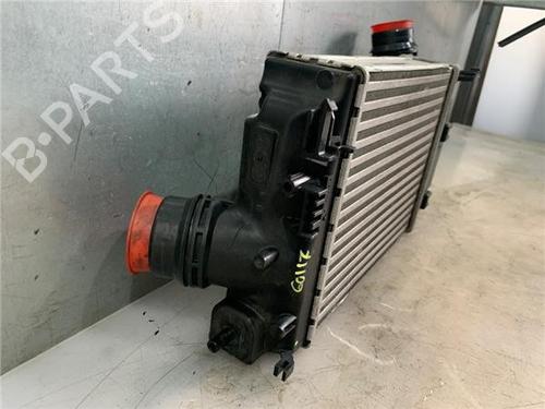 Intercooler NISSAN QASHQAI II (J11, J11_)  | BP25009961M30