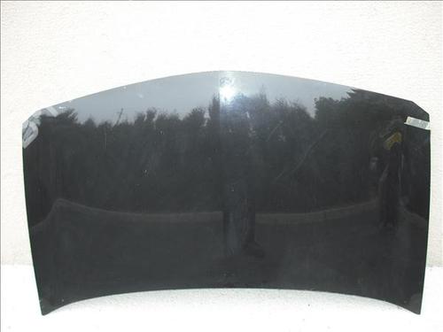 Used Hood RENAULT MEGANE II (BM0/1_, CM0/1_) [2001-2012]  9702807