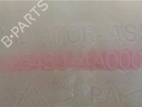 Other HYUNDAI H-1 / STAREX Bus (A1) | BP30183056O1