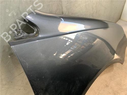 Right front fenders VW POLO (9N_, 9A_)  | BP18166487C42 