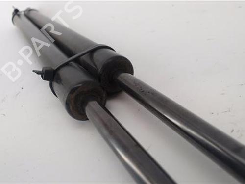 Tailgate lift support KIA CARNIVAL / GRAND CARNIVAL III (VQ) 2.9 CRDi | BP25146799C138 
