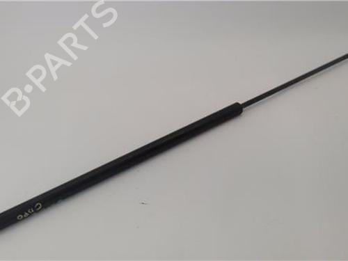 Hood lift support AUDI A3 (8P1) 2.0 TDI 16V | BP25495881C139 