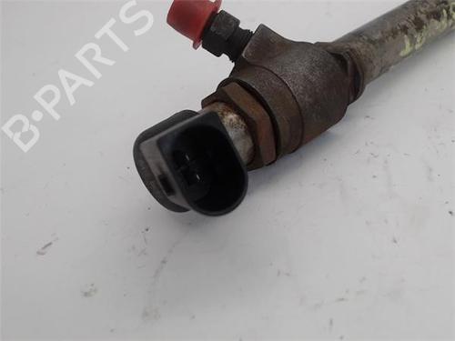 Injector LAND ROVER RANGE ROVER SPORT I (L320) 2.7 D 4x4 | BP16538672M100 