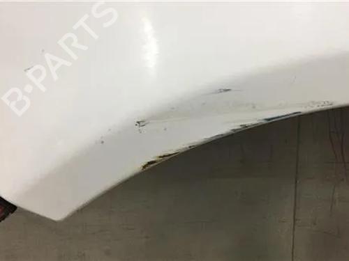 Left front fenders OPEL CORSA D (S07) 1.3 CDTI (L08, L68) | BP11342815C41 