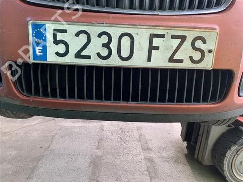 Grille SKODA FABIA II (542) 1.4 TDI | BP32450941C40 
