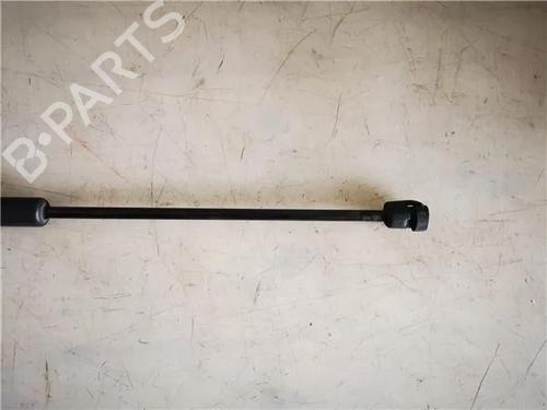 Hood lift support OPEL ASTRA H (A04)  | BP14344663C139 