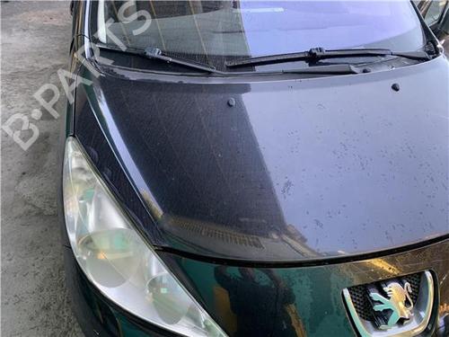 Used Hood Hood PEUGEOT 207 (WA_, WC_) [2006-2015] 32419263 32419263