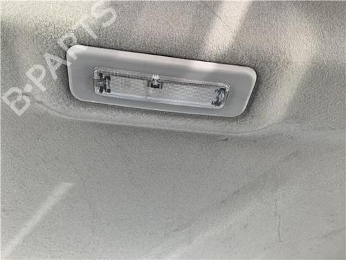 Interior roof light FORD TRANSIT CONNECT (P65_, P70_, P80_) 1.8 TDCi | BP32450666I8 