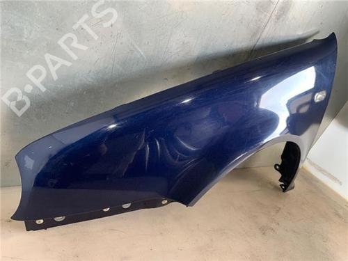 Left front fenders VW GOLF IV (1J1) 1.6 16V | BP13398181C41 
