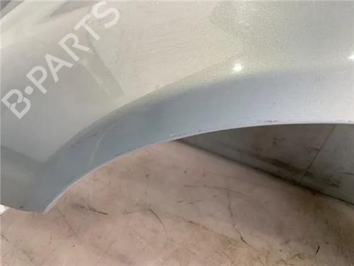 Left front fenders RENAULT CLIO II (BB_, CB_)  | BP24316247C41 