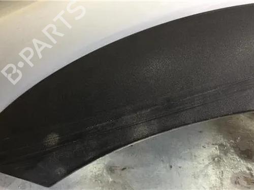 Left front fenders LAND ROVER FREELANDER I (L314) 2.0 Td4 4x4 | BP11341505C41 
