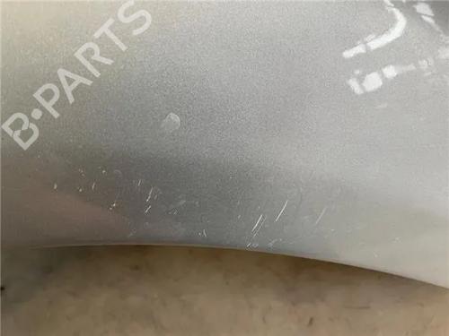 Left front fenders FORD FOCUS II (DA_, HCP, DP)  | BP23391321C41 