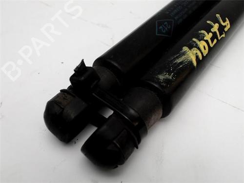Hood lift support RENAULT SCÉNIC III (JZ0/1_) 1.5 dCi | BP14344044C139 