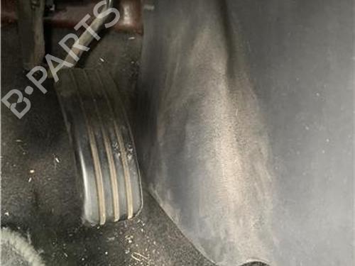 Pedal RENAULT MEGANE II (BM0/1_, CM0/1_) [2001-2012]  24415966