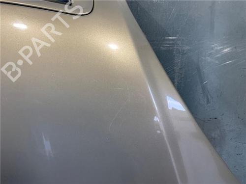 Hood CITROËN XSARA PICASSO (N68) 2.0 HDi | BP17327284C1 