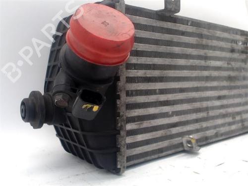 Pulley SEAT IBIZA III (6L1) 1.9 TDI | BP25718626M122 