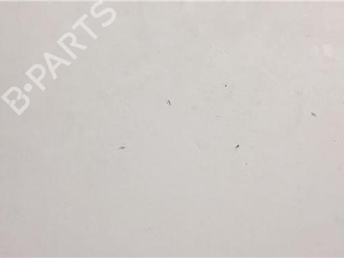 Hood CITROËN BERLINGO / BERLINGO FIRST Box Body/MPV (M_)  | BP9635642C1 
