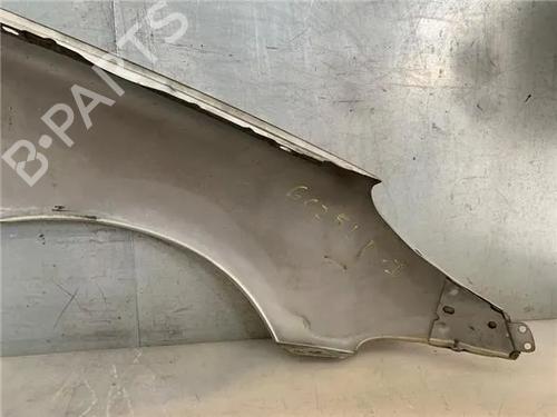 Left front fenders PEUGEOT 206 Hatchback (2A/C)  | BP26029978C41 