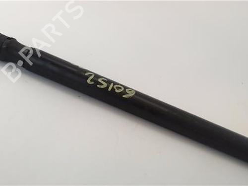 Hood lift support AUDI A3 (8P1) 2.0 TDI 16V | BP25495881C139 