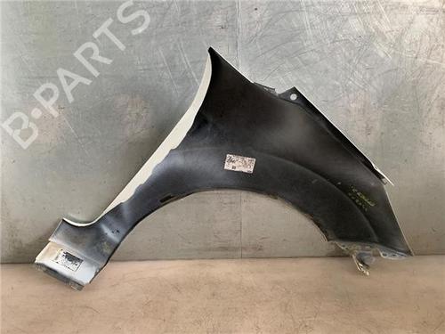 Left front fenders FORD FIESTA VI (CB1, CCN) 1.25 | BP20296391C41 