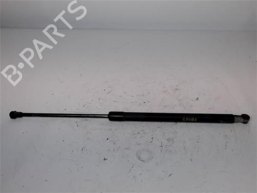 Used Hood lift support AUDI A3 (8P1) 2.0 TDI 16V (140 hp) 14343689