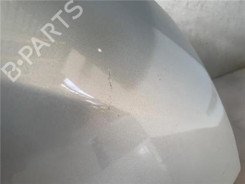 Right front fenders RENAULT SCÉNIC II (JM0/1_)  | BP18682479C42 