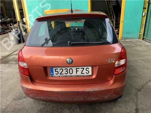 Tailgate SKODA FABIA II (542) 1.4 TDI | BP32450998C6 