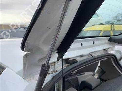 tailgate-lift-support-renault-clio-iii-br01-cr01-2005-2006-2007-2008-2009-2010-2011-2012-2013-2014-32419602 main image