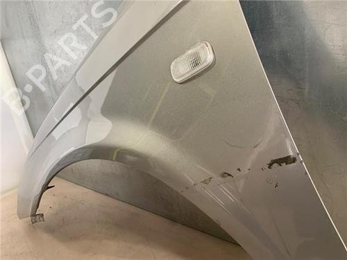 Left front fenders KIA CARNIVAL II (GQ) 2.9 TDi | BP13398114C41 