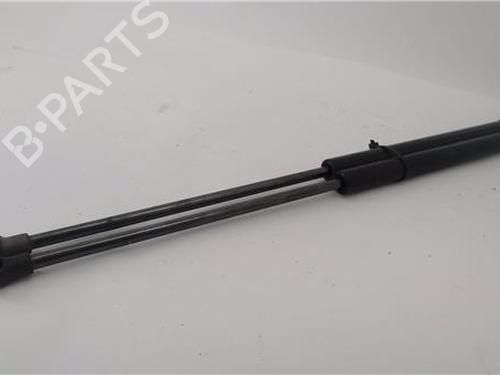 Tailgate lift support SEAT IBIZA III (6L1) 1.4 16V | BP24415900C138