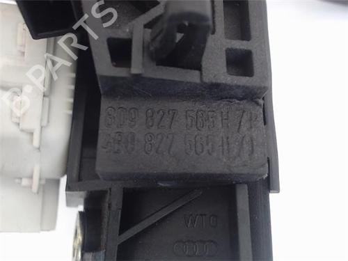 Tailgate handle AUDI ALLROAD C5 (4BH) 2.5 TDI quattro | BP16918279C132 