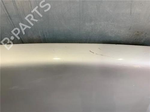 Hood LAND ROVER FREELANDER I (L314)  | BP17764533C1