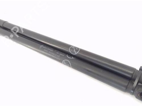 Tailgate lift support FORD C-MAX II (DXA/CB7, DXA/CEU)  | BP29259865C138 