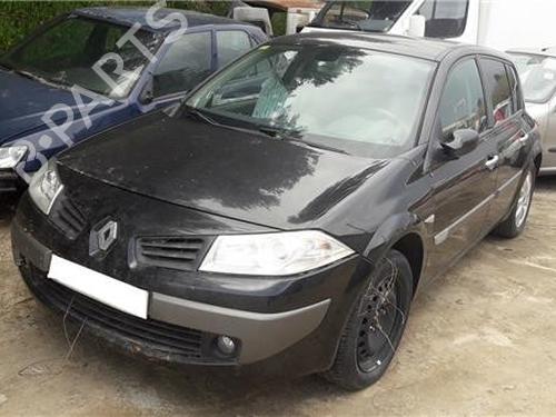 Left front door RENAULT MEGANE II (BM0/1_, CM0/1_)  | BP11362643C2 